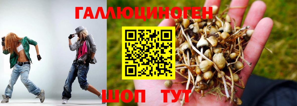Псилоцибиновые грибы Psilocybe  Вход с VPN  Елец 