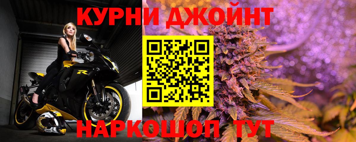 Бошки Шишки планчик Елец